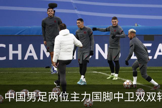 中国男足两位主力国脚中卫双双转会山东足坛，新赛季挑起重担引关注