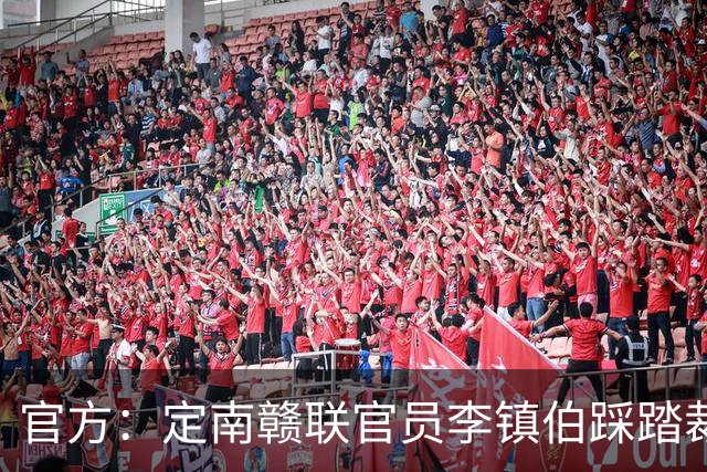 官方：定南赣联官员李镇伯踩踏裁判脚部，罚款11万+禁止入场7个月