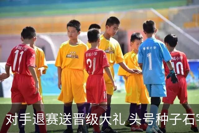 对手退赛送晋级大礼 头号种子石宇奇挺进男单次轮
