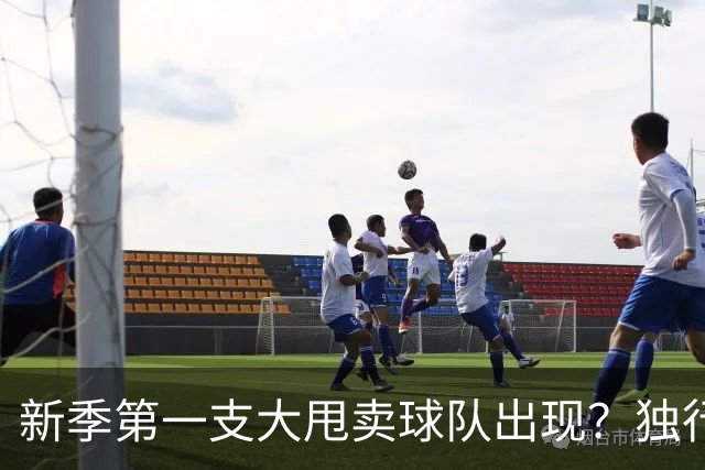 新季第一支大甩卖球队出现？独行侠换代克莱欧文都得走