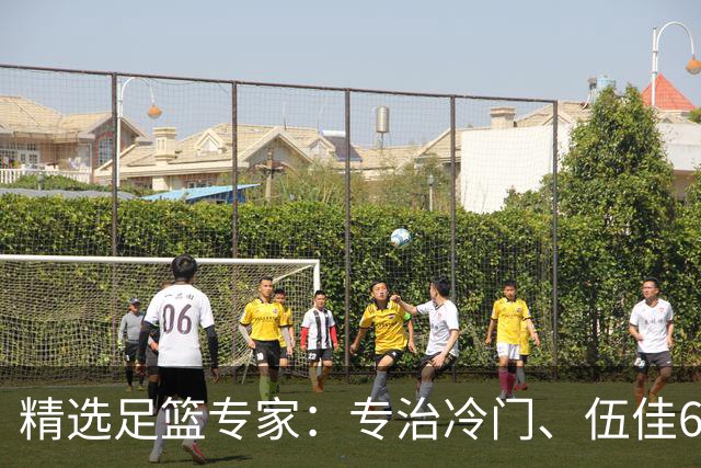 精选足篮专家：专治冷门、伍佳6连红分析世界杯